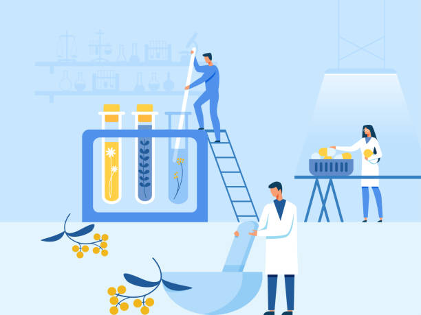 Step-by-step Natural Medication Preparation in Lab Step-by-step Process Natural Medication Preparation. Man and Woman Researchers and Scientists Working with Huge Equipment in Laboratory. Herbals, Organic Extracts Recovery. Vector Cartoon Illustration new big tube stock illustrations