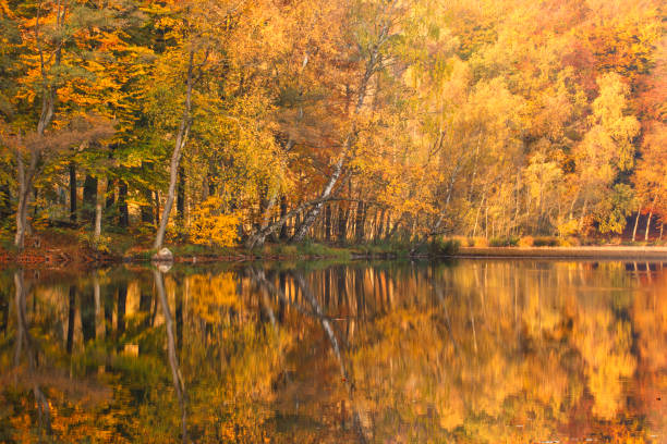 istock colorful autumn lake 1169114590