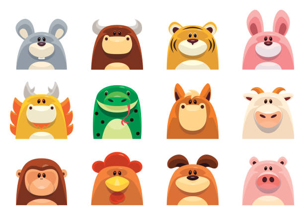 Chinese Zodiac animals full set vector symbols of Chinese Zodiac animals pig illustrations stock illustrations