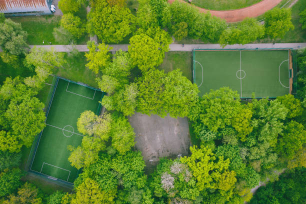 istock High Angle View Of Plants Growing On Land 1169120242