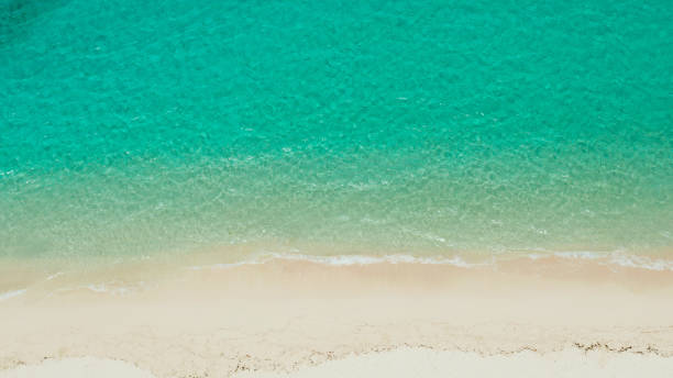 istock Tropical beach and blue sea with waves 1169122365