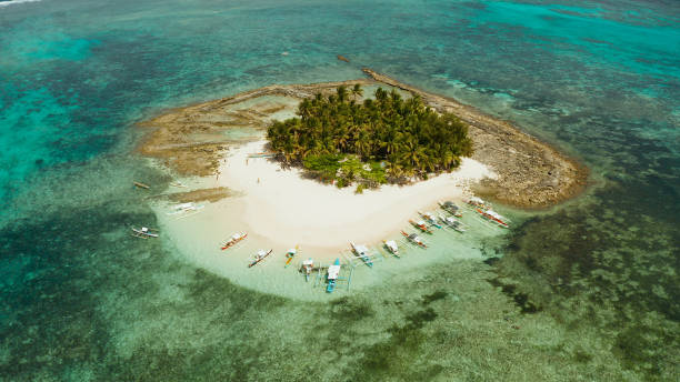 istock Tropical Daco Island with a sandy beach and tourists 1169123836