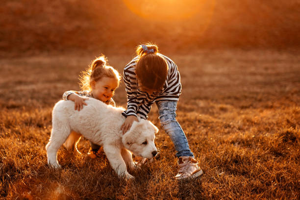 istock You are so cute 1169124566