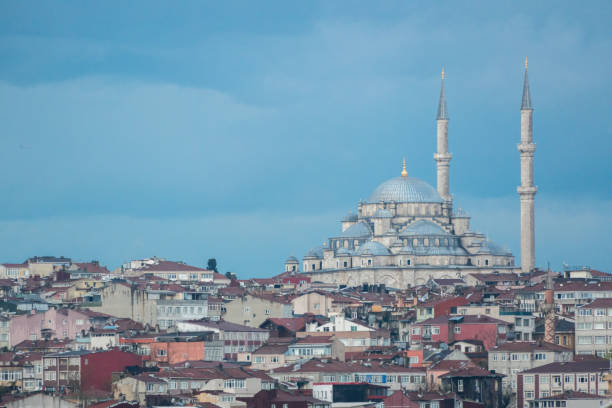 istock Istanbul cityscape 1169126143