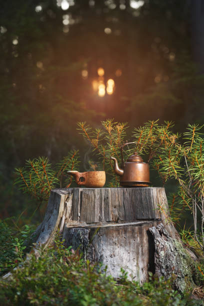 Vintage teapot and wooden cup with coffee on a stump in the autumn forest. Vintage teapot and wooden cup with coffee on a stump in the autumn forest. Object in focus, blurred background. finnish lapland autumn stock pictures, royalty-free photos & images