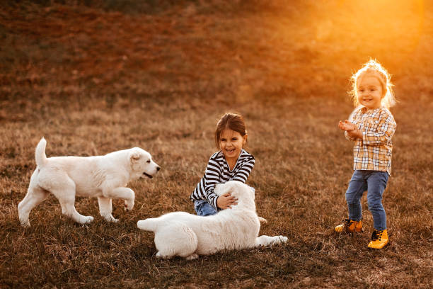 istock It's always fun with you 1169130300