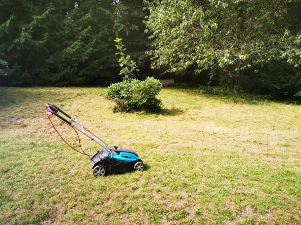 istock Blue lawn mower on green meadow 1169130557