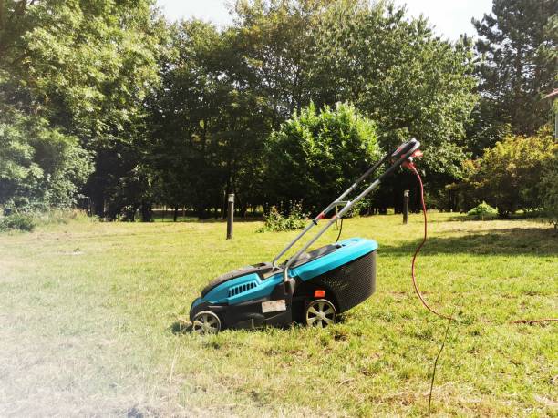 istock Blue lawn mower on green meadow 1169130829