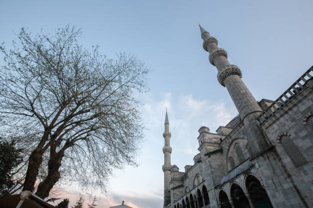 istock Blue Mosque or Sultan Ahmed Mosque 1169131520