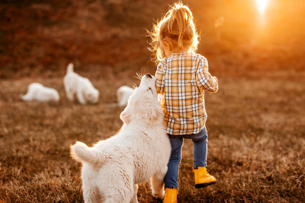 istock Albai dog is my favourite 1169132019