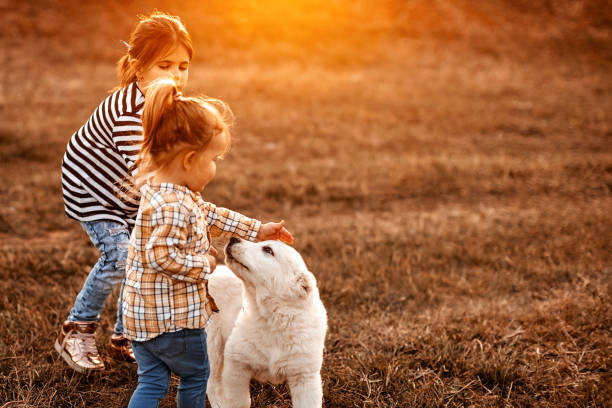 istock Cutte little friends 1169132028