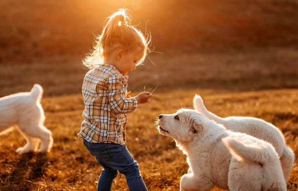 istock My puppies loves to run 1169132140