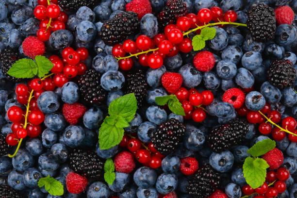 istock Blackberry, raspberry, blueberry,  red currant and mint background. 1169134459