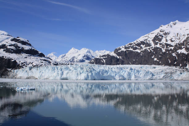 istock Alaska Glacier Bay 1169134478