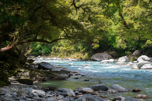 istock Scenic river in Mount Aspiring National Park 1169134889
