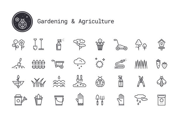 ilustrações, clipart, desenhos animados e ícones de jardinagem, horticultura, ajardinar, ferramentas de trabalho, ícones lineares do equipamento ajustados. coleção do clipart do vetor isolada no fundo branco. - gardens