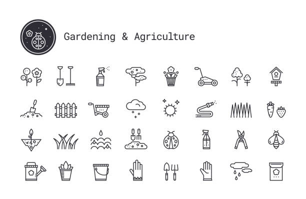 Gardening, horticulture, landscaping, working tools, equipment linear icons set. Vector clipart collection isolated on white background. Gardening, horticulture, landscaping thin line vector icon set. Soil cultivation, garden work tool, plant growing pictogram. Design elements for web interface, mobile app isolated on white background. bee water stock illustrations