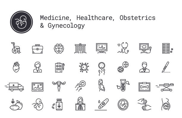 Medicine, medical services, pregnancy, obstetrics, gynecology linear icons set. Vector illustration clipart collection isolated on white background. Medical services, pregnancy, obstetrics, gynecology thin line icons. Mother, fetus, newborn health. Ambulance, treatment, reanimation, health care equipment. Pictograms for web service and mobile app. gynecology stock illustrations
