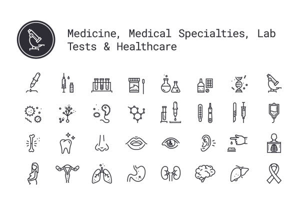 Medical science, medicine specialties, clinical laboratory, human body, organs linear icons set. Vector illustration clipart collection isolated on white background. Medicine specialties, clinical laboratory thin line icons. Medical science, virology study, microbiology, immune system and genetics assay, equipment and tools. Human body, internal and sensory organs blood testing stock illustrations
