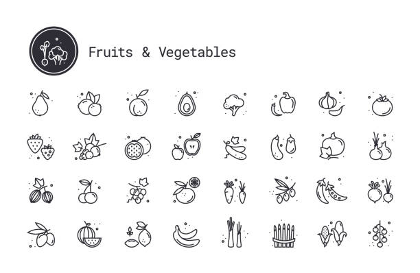 야채, 과일, 열매 선형 아이콘 세트. 흰색 배경에 격리 된 벡터 일러스트 클립 아트 컬렉션입니다. - strawberry tomato stock illustrations