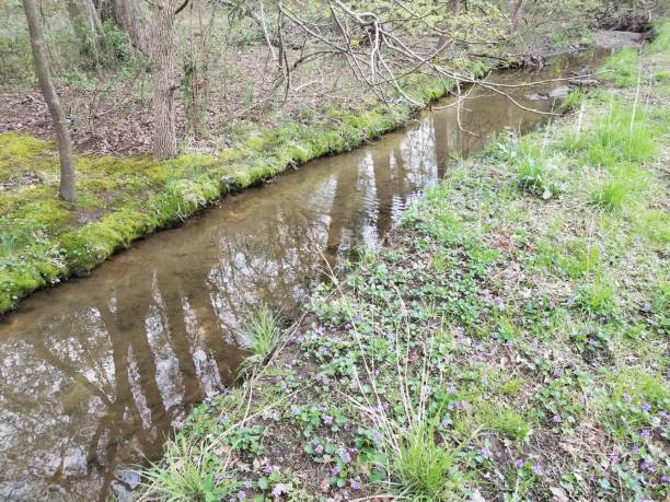 istock small stream or creek or river and mud and grass 1169141130