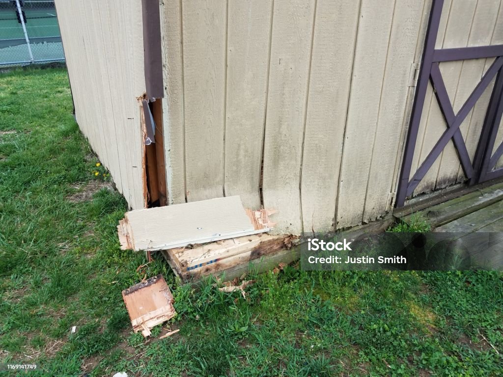 Broken Wood Storage Shed Structure With Damage Stock Photo - Download ...