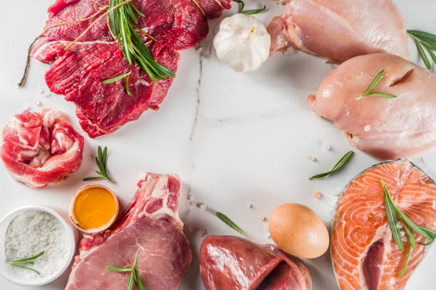 istock Carnivore protein diet background 1169142751