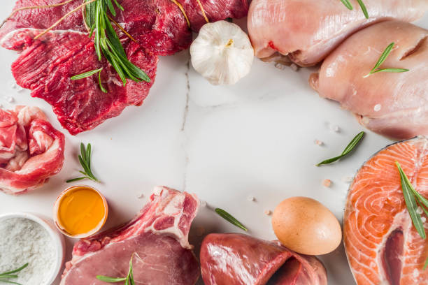 istock Carnivore protein diet background 1169142752