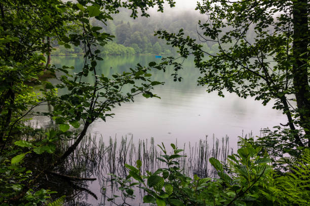 istock Misty Dark Lake 1169142888
