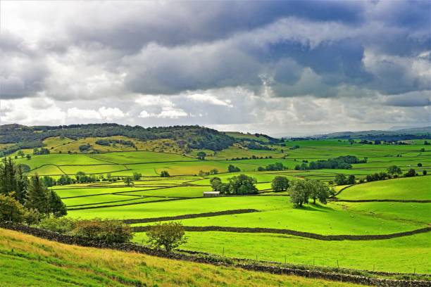 istock Rain clouds gather over Austwick meadowland, Yorkshire Dales, England 1169145283