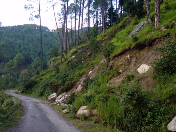 istock Road isolated with landslide zone 1169145375