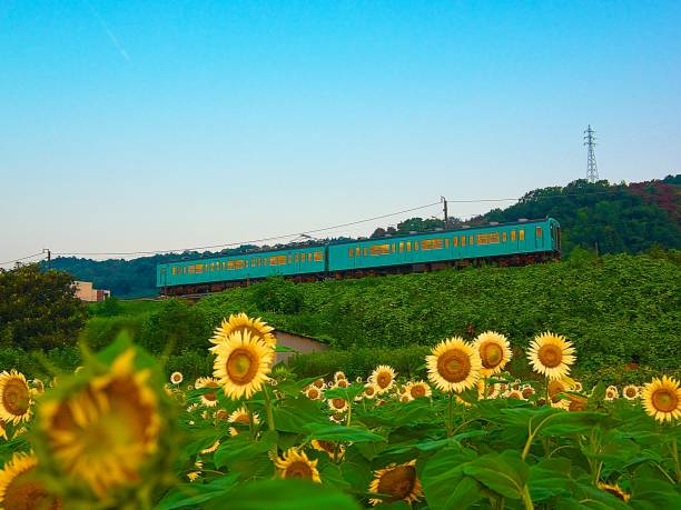 Railway