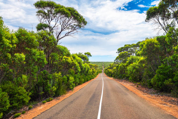 istock Winding road through Kangaroo Island 1169150102