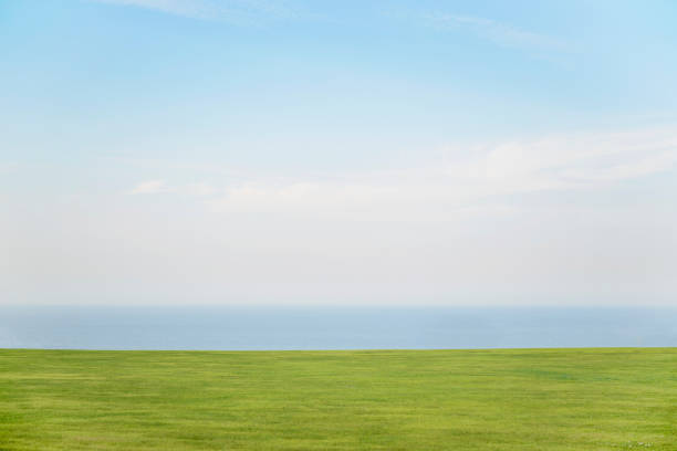 istock Green grass field and sea 1169155197