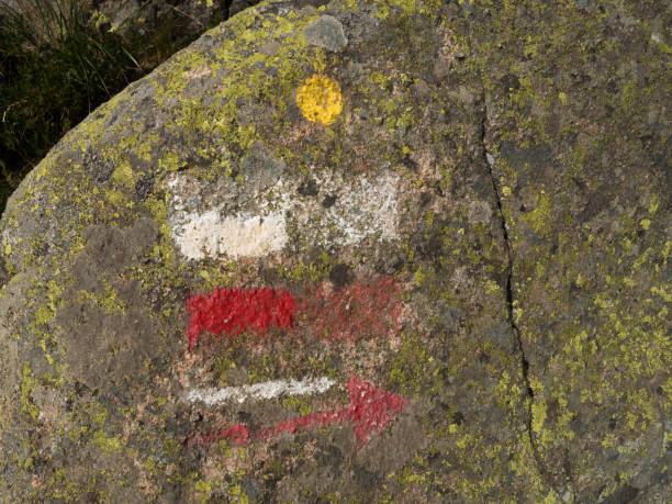 istock Rural route indications over a mossy stone. 1169155674