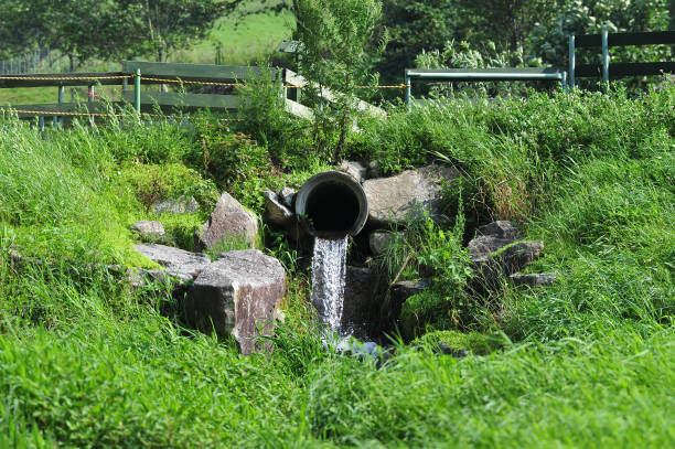 istock Waste water drains from concrete  pipe 1169156163