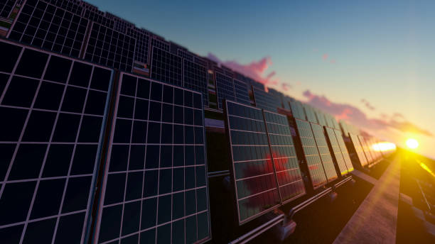 istock Solar Field in the Early Morning Light 1169157504