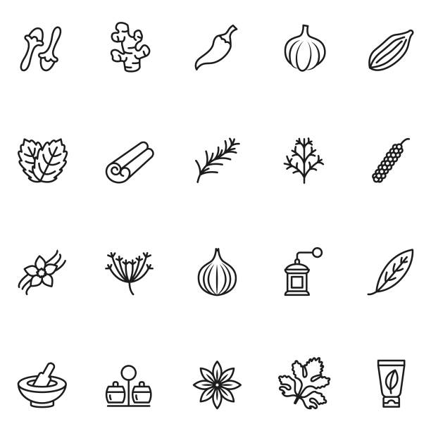 Herbs and spices icons Herbs and spices icons anise stock illustrations