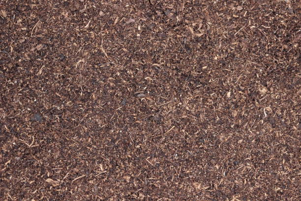 istock Pile heap of soil humus 1169159529