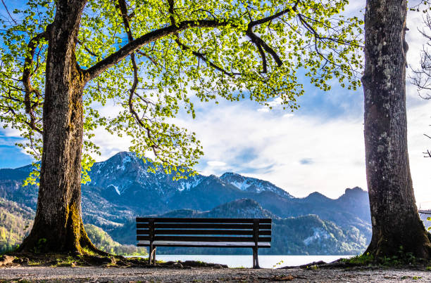 istock kochel lake - bavaria 1169160348
