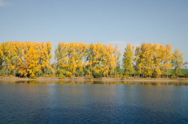 istock beautiful autumnal nature 1169161861