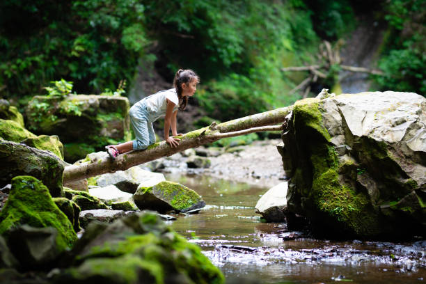istock Girl crossing the log bridge 1169162074