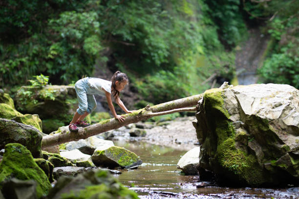 girl crossing the log bridge - bridge people fun river imagens e fotografias de stock