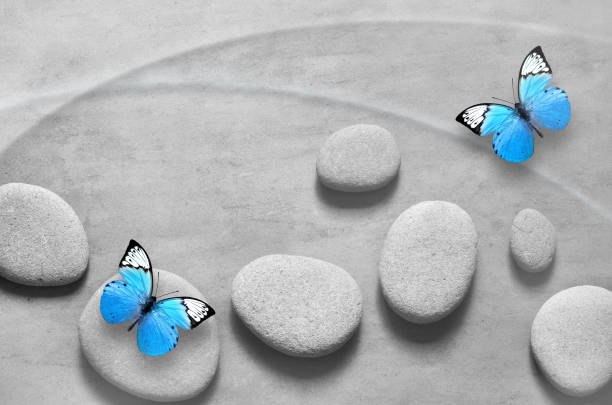 istock Flat lay composition with spa stones and butterfly on grey background. 1169163853