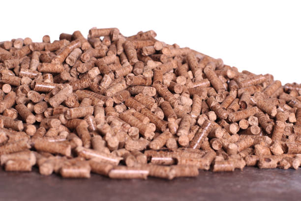 istock Natural wooden pellets 1169167582