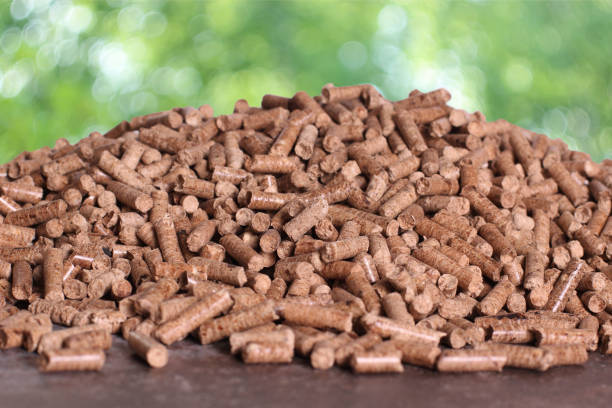 istock Natural wooden pellets 1169167592