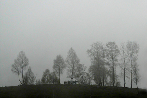 Carpathian Mountains Transylvania