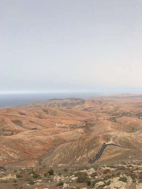 istock Fuerteventura 1169169740