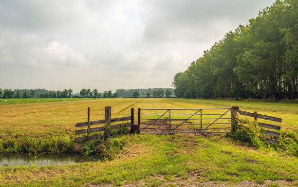 Iron gate on the edge of dried out grassland Typical Dutch rural polder landscape with an empty  meadow and in the foreground a ditch and an iron gat. It is a cloudy day in the summer season. gelderland photos stock pictures, royalty-free photos & images