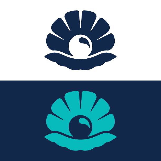 deniz kabuğu hattı ve glyph logosu - sarmal deniz kabuğu illüstrasyonlar stock illustrations